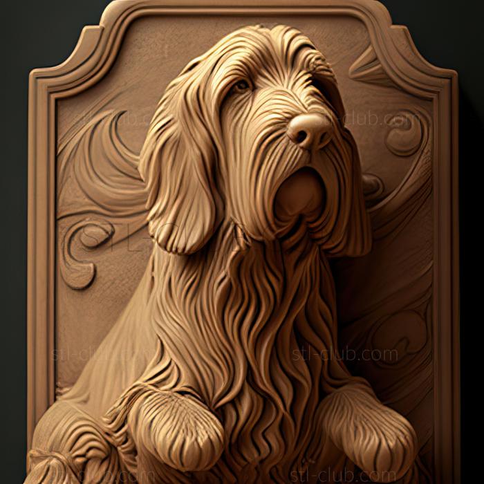 st Otterhound dog